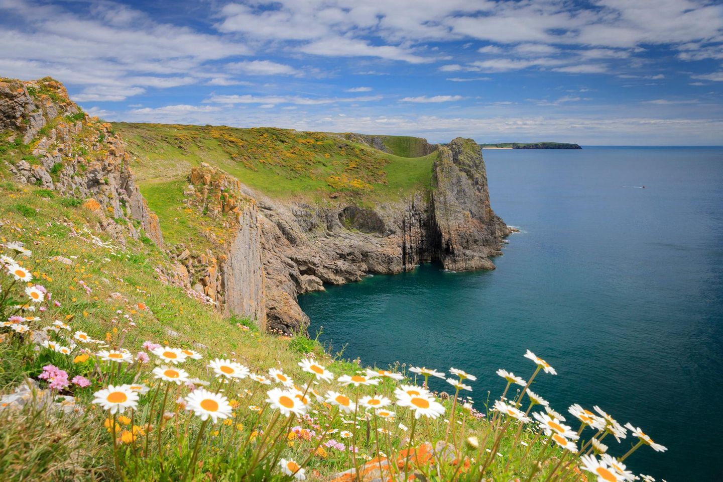 Frühlingsblumen in Lydstep mit Caldey Island im Hintergrund
