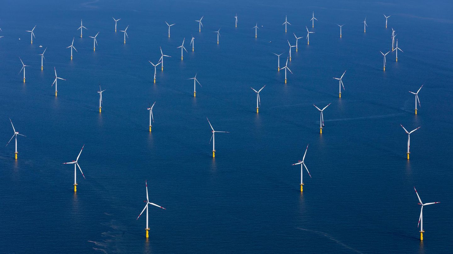 Der Windpark Butendiek vor der Westküste Schleswig-Holsteins hat eine Leistung von 288 Megawatt. Bis 2050 soll in der deutschen Nordsee 1000-mal so viel Strom produziert werden