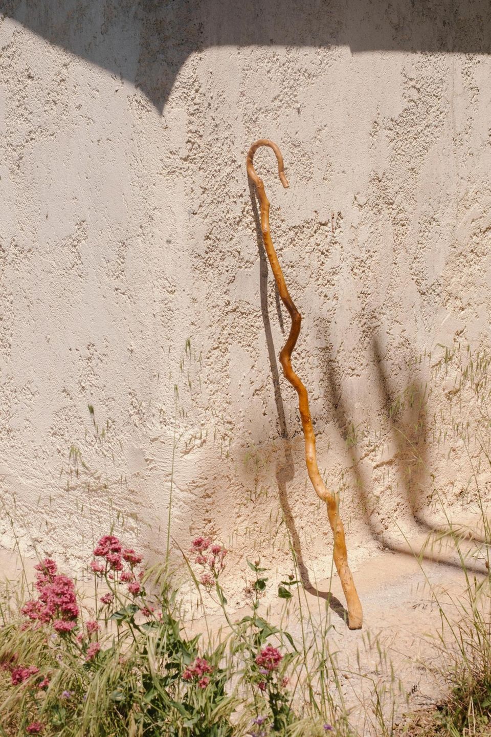 Katsouna, der kretische Hirtenstarb