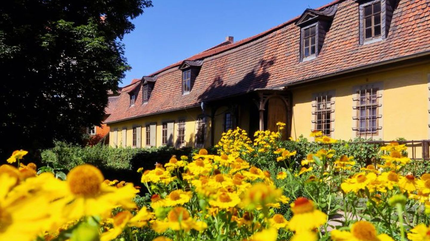 Vor Goethes Wohnhaus sprießt und blüht es: Der Garten soll bis zu geplanten Wiedereröffnung im Jahr 2030 neu angelegt werden. Fo