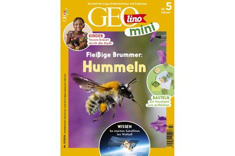 GEOlino Mini 03/2026: Hummeln