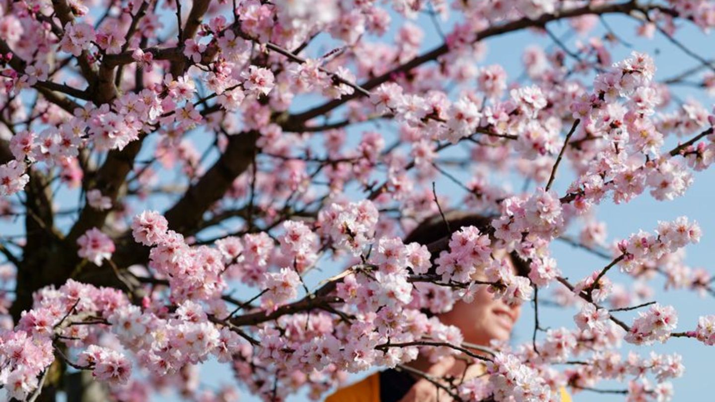 Wie riecht der Frühling? Starke Sinnesreize lassen uns lebendig fühlen. Wer bewusst darauf achtet, beschert sich Glücksmomente i