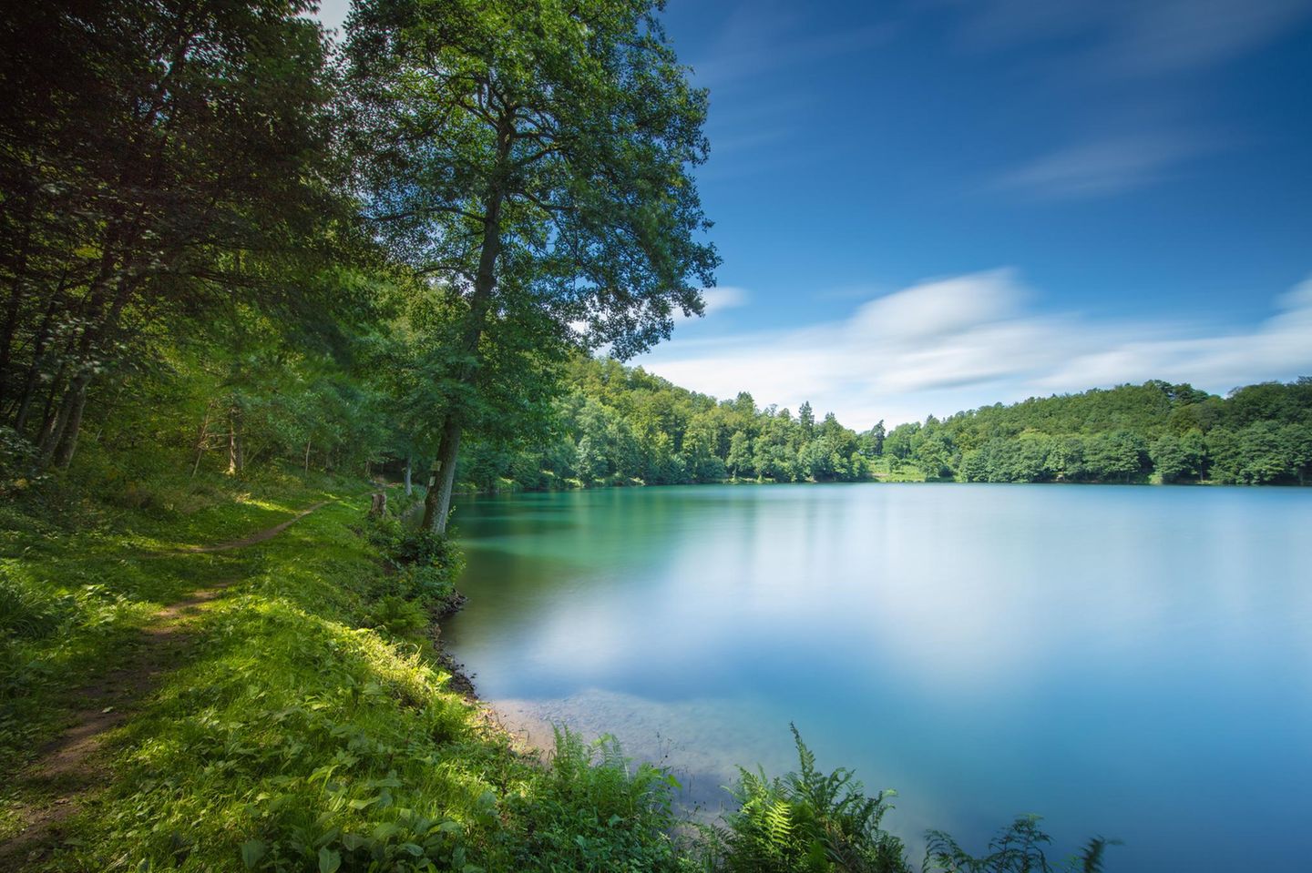 Gemündener Maar gerahmt von Bäumen