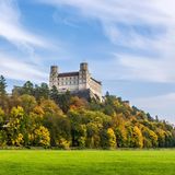 Willibaldsburg umgeben von Bäumen, im Vordergrund Wiese