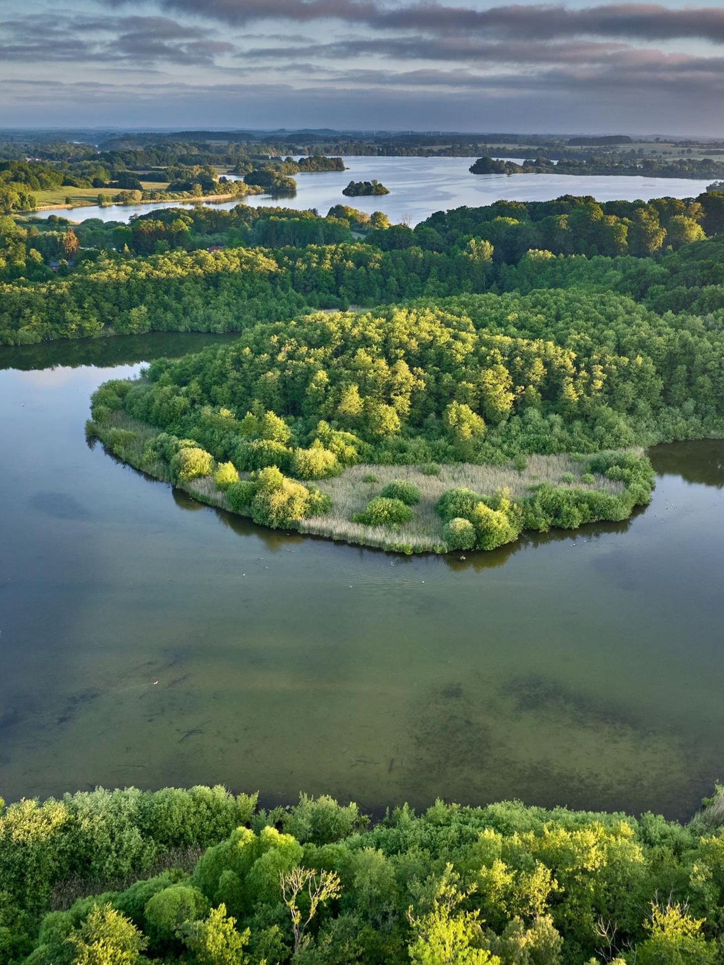Blick über Großen und Kleinen Plönersee, umgeben von Grün