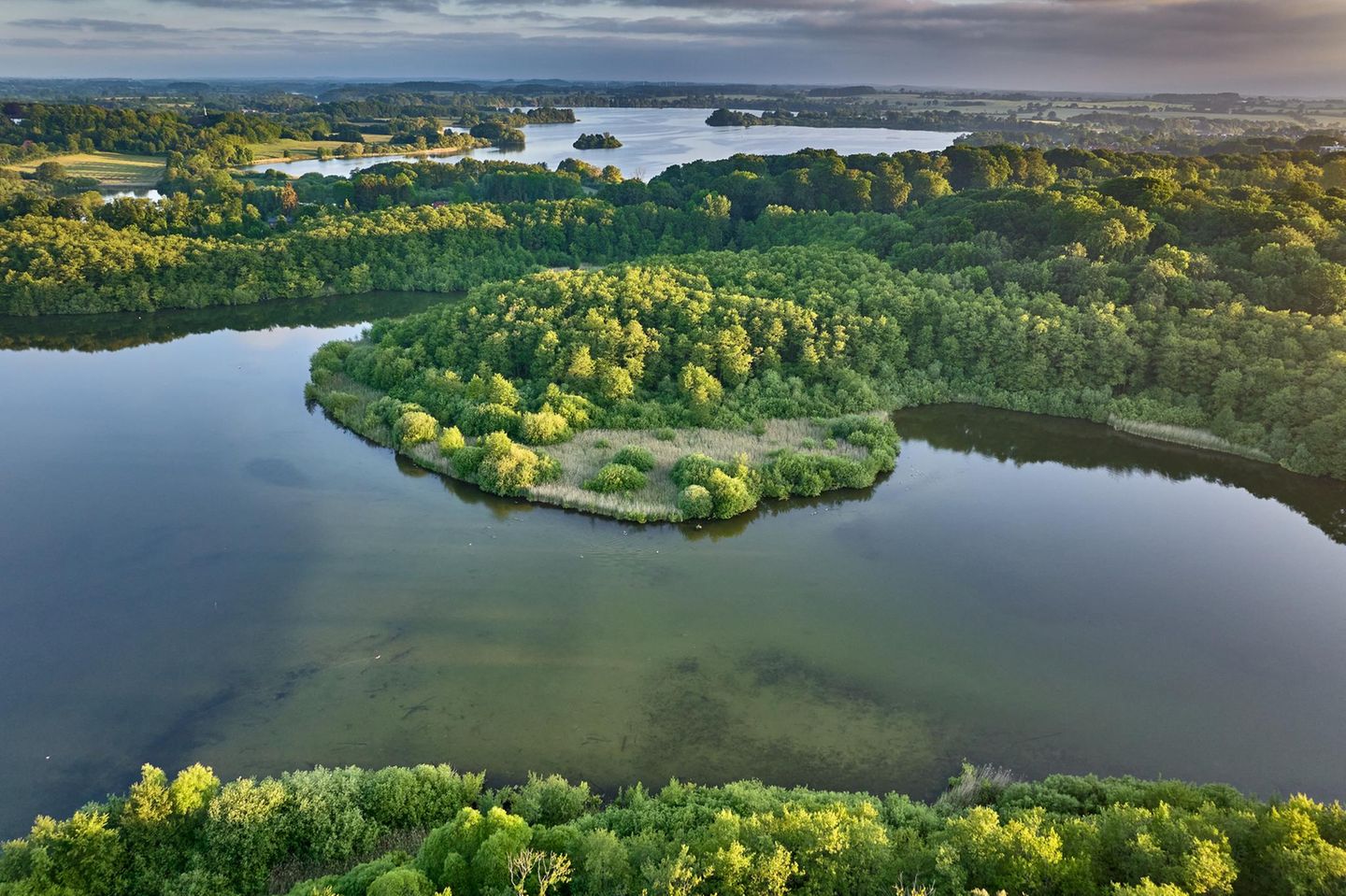Blick über Großen und Kleinen Plönersee, umgeben von Grün
