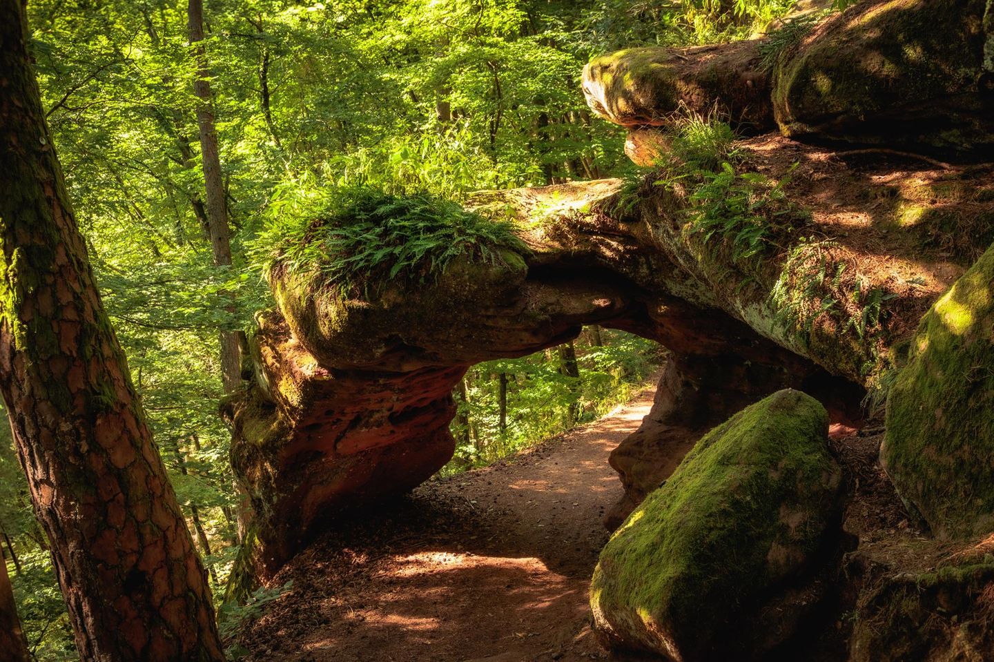 Steinerner Torbogen, durch den ein Weg führt, im Hintergrund Bäume