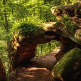 Steinerner Torbogen, durch den ein Weg führt, im Hintergrund Bäume