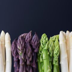 Verschiedene Spargelköpfe nebeneinander