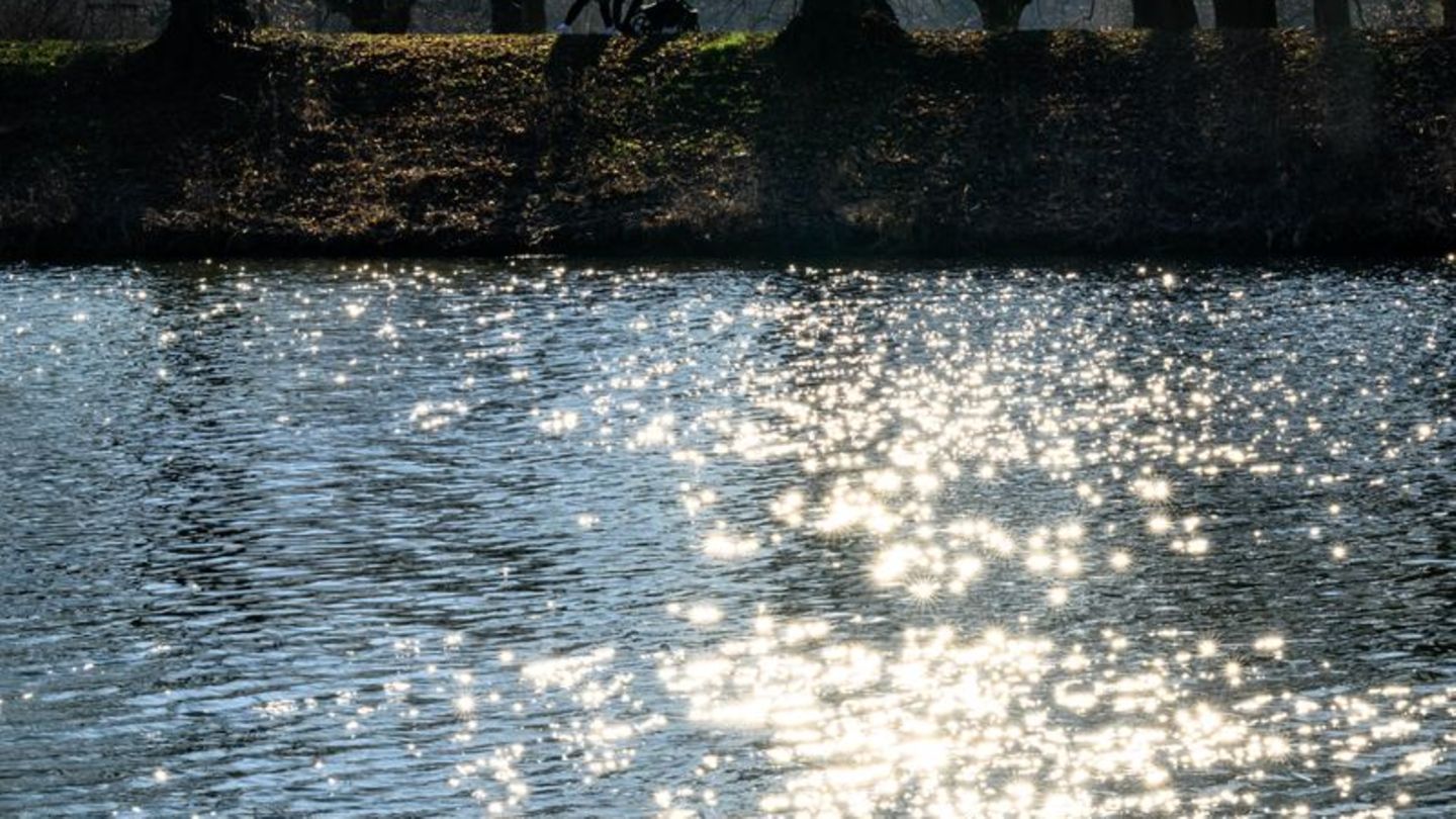 Wasser ist lebenswichtig für Menschen, Tiere und Kleinstorganismen. (Archivbild) Foto: Hendrik Schmidt/dpa