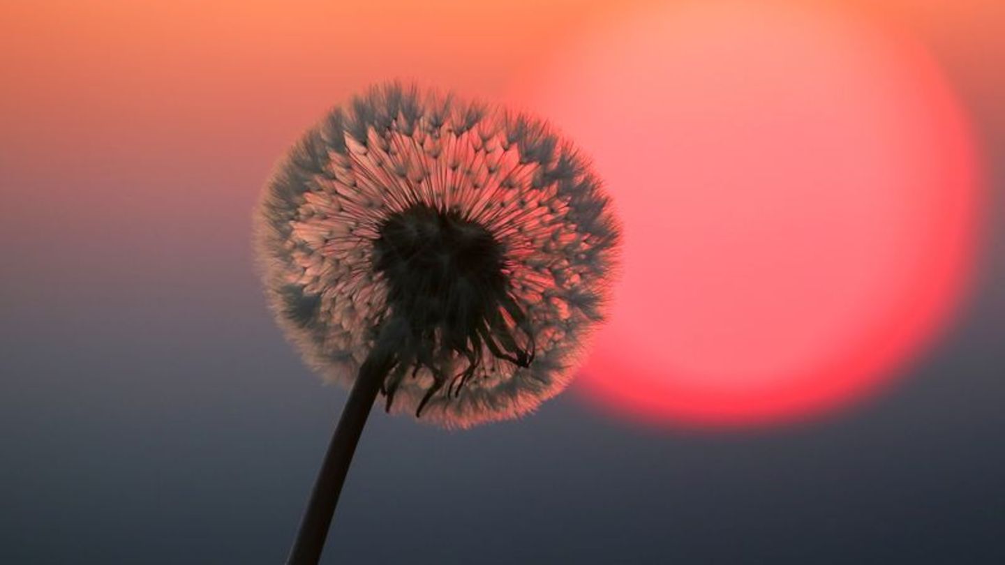 Ist es das schon? Viele Frauen sind sich anfangs unsicher, ob das nun schon der Beginn der Wechseljahre ist. Foto: Thomas Warnac
