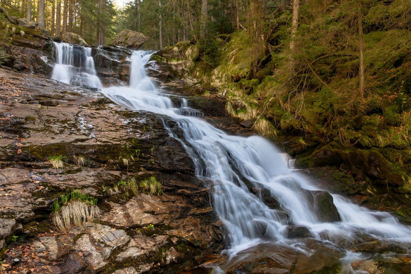 Rißlochwasserfall umgeben von Bäumen