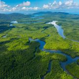 Blick von oben auf Wasserwege und grüne Landfläche im Feuchtgebiet Térraba-Sierpe