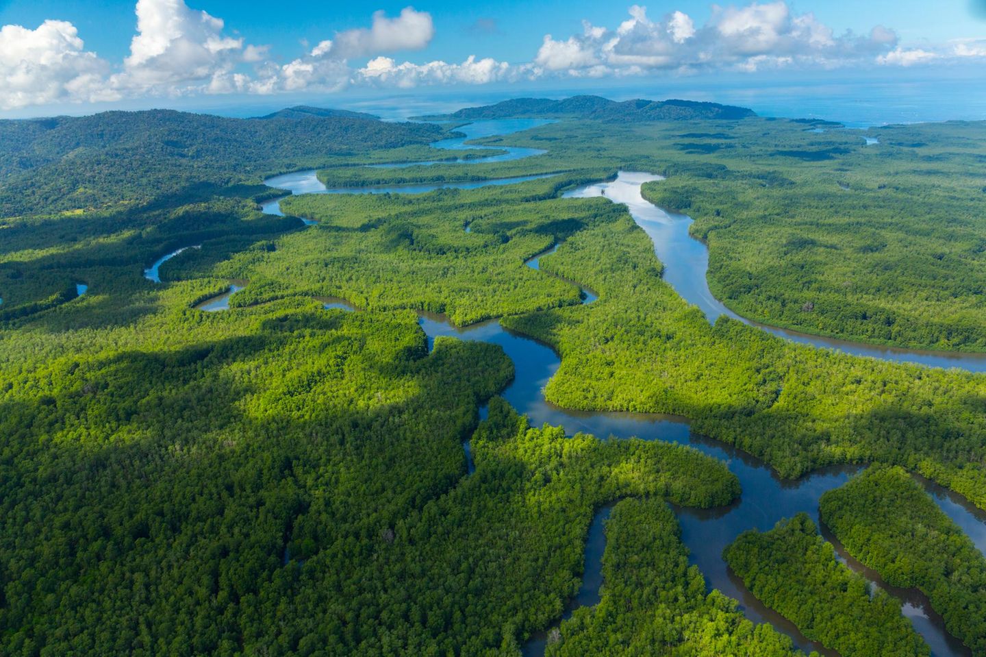 Blick von oben auf Wasserwege und grüne Landfläche im Feuchtgebiet Térraba-Sierpe