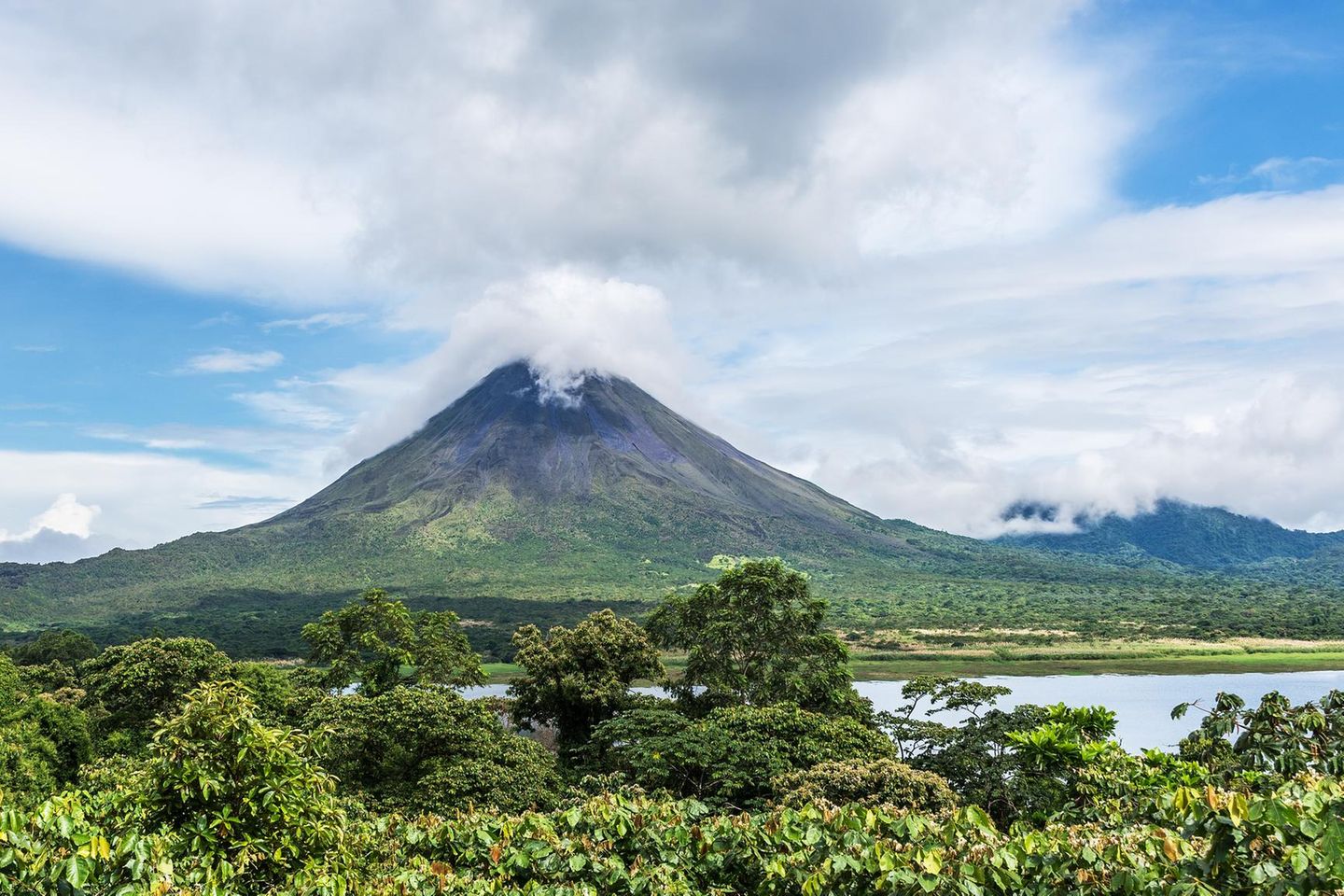 Vulkan Arenal, im Vordergrund See und Pflanzen