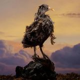 Ist das nun tröstlich oder traurig? Klaus Pichlers Fotoinstallationen symbolisieren die Vergeblichkeit allen menschlichen Strebens, der Endlichkeit entgegenzutreten