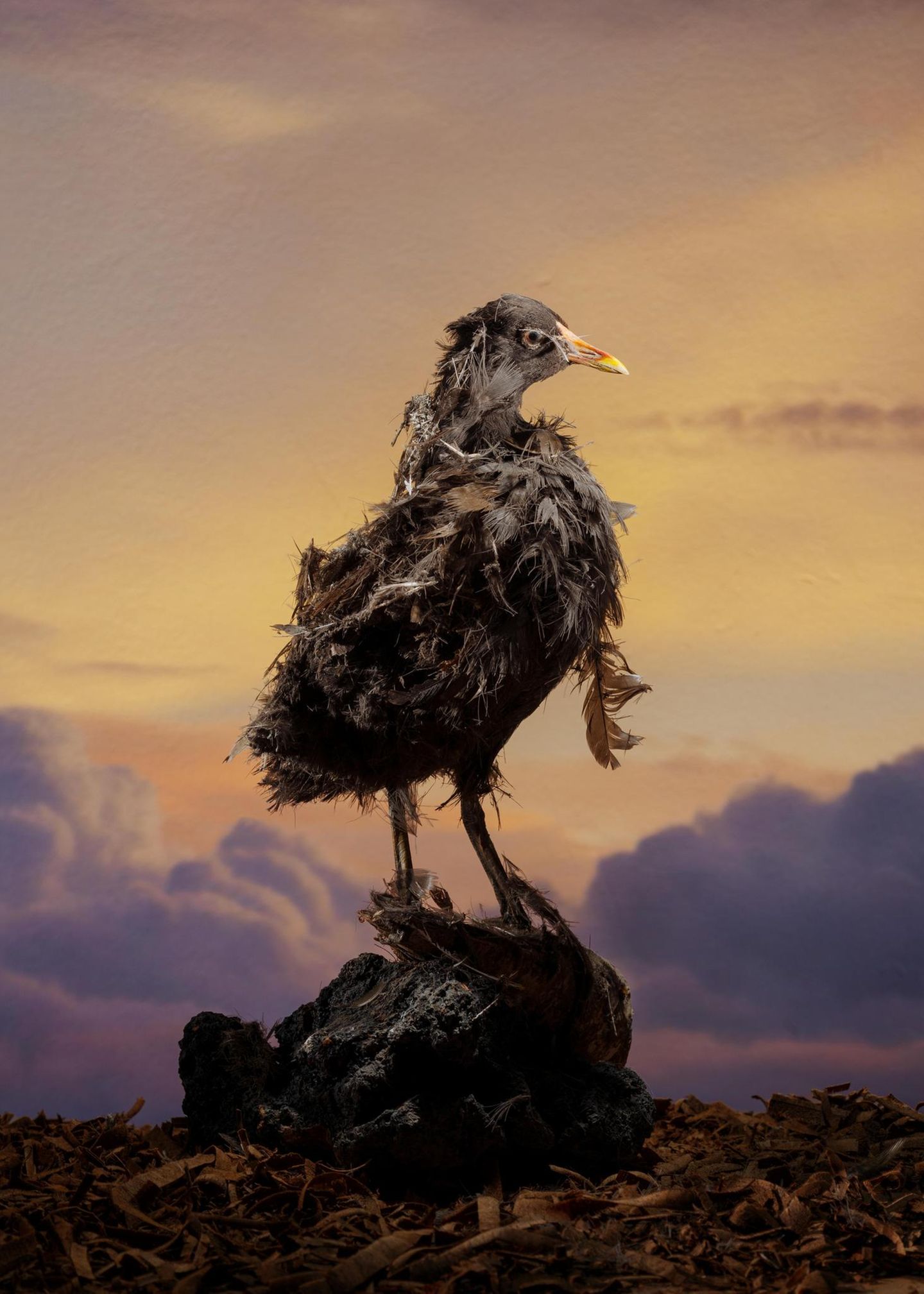 Ist das nun tröstlich oder traurig? Klaus Pichlers Fotoinstallationen symbolisieren die Vergeblichkeit allen menschlichen Strebens, der Endlichkeit entgegenzutreten