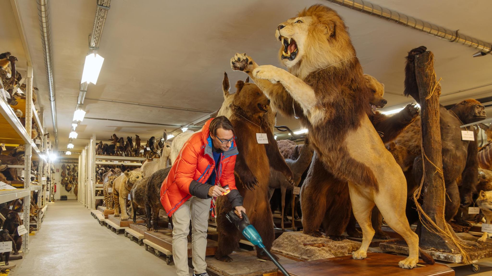 Speicher des Naturhistorischen Museums in Wien