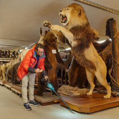 Speicher des Naturhistorischen Museums in Wien