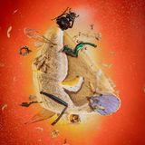 Überbleibsel eines Flügels des Götterbaum-Spinners