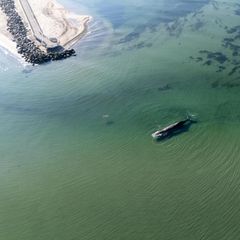 Ein Wal ist vor dem Timmendorfer Strand zu sehen. An der Ostseeküste in Schleswig-Holstein strandet ein großer Wal. Auch Experten aus Büsum begutachten das Tier jetzt genauer