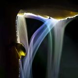 Des Nachts entfaltet sich vor Indranil Basu Mallicks Linse der Kreislauf des Lebens. Der Fruchtkörper des Termitenpilzes beginnt sich bereits zu zersetzen, doch den Schnecken bietet er noch ein nahrhaftes Mahl. Aus seinem Schirm strömen derweil die Sporen einer neuen Pilzgeneration. Der Lampenschein und eine lange Belichtung verwandeln sie in zarte, zauberhafte Schleier.