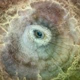 Aus der Vogelperspektive erinnert die heiße Quelle im isländischen Geothermalfeld Hveravellir an ein Echsenauge. Ein kleines, tiefblaues Wasserbecken bildet den Augapfel; graubraune Mineralablagerungen betten es ein wie runzelige Haut. "Die Szenerie besitzt eine raue, natürliche Schönheit, die sich beinahe lebendig anfühlt", sagt Pawel Zygmunt, Sieger in der Kategorie "Landschaft".