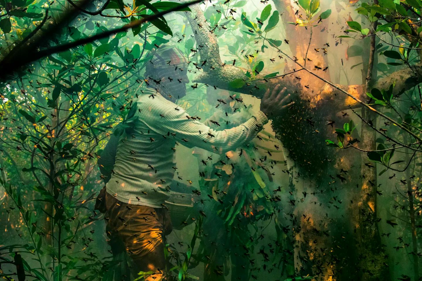 Die Honigsammler der Sundarbans an der Küste Bangladeschs nehmen von der Natur, ohne sie auszubeuten. Sie wissen, dass nur ein vorsichtiger und respektvoller Umgang die Ressourcen ihrer Heimat erhält. Doch ihre Weitsicht schützt sie nicht vor den Auswirkungen der globalen Zerstörung. Der steigende Meeresspiegel gefährde die weltgrößten Mangrovenwälder und das kulturelle Erbe ihrer Bewohner, warnt Fotograf und Preisträger Muhammad Mostafigur Rahman.