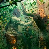 Die Honigsammler der Sundarbans an der Küste Bangladeschs nehmen von der Natur, ohne sie auszubeuten. Sie wissen, dass nur ein vorsichtiger und respektvoller Umgang die Ressourcen ihrer Heimat erhält. Doch ihre Weitsicht schützt sie nicht vor den Auswirkungen der globalen Zerstörung. Der steigende Meeresspiegel gefährde die weltgrößten Mangrovenwälder und das kulturelle Erbe ihrer Bewohner, warnt Fotograf und Preisträger Muhammad Mostafigur Rahman.