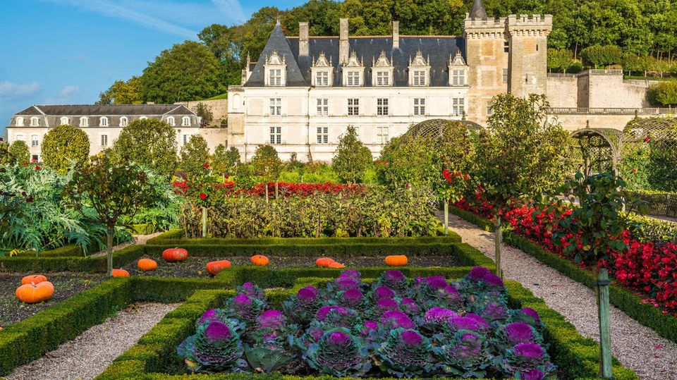 Vor dem Schloss von Villandry in Frankreich erstreckt sich der "Potager du Roi", also der Küchengarten des Königs. Was hier im großen Stil angelegt ist, gelingt auch im Kleinen