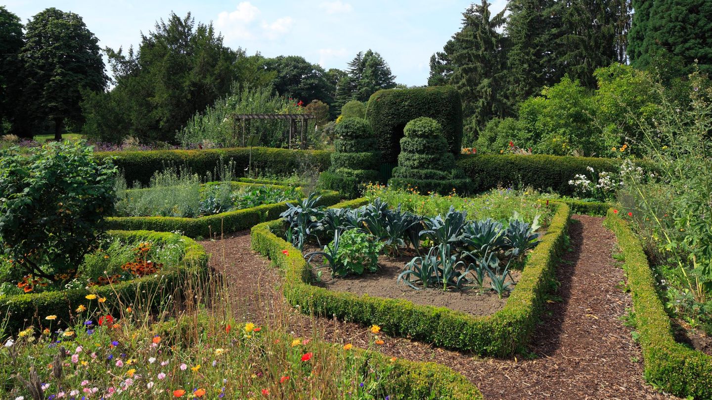 Wie man einen ansprechenden Küchengarten bepflanzt, verrät Bärbel Steinberger in ihrem Buch