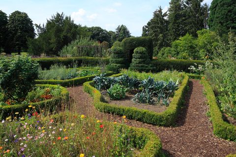 Wie man einen ansprechenden Küchengarten bepflanzt, verrät Bärbel Steinberger in ihrem Buch