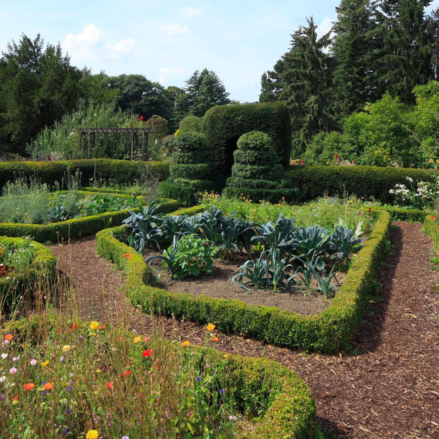 Wie man einen ansprechenden Küchengarten bepflanzt, verrät Bärbel Steinberger in ihrem Buch
