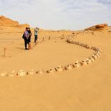 Mehrere Personen schauen sich Knochen in der Wüste an