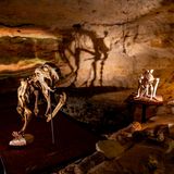 Fossilienskelette in der Höhle