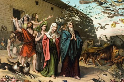 Noahs Frau – auf der Arche segelte eine ganze Familie