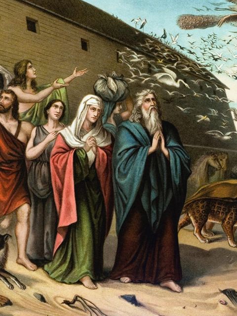 Noahs Frau – auf der Arche segelte eine ganze Familie