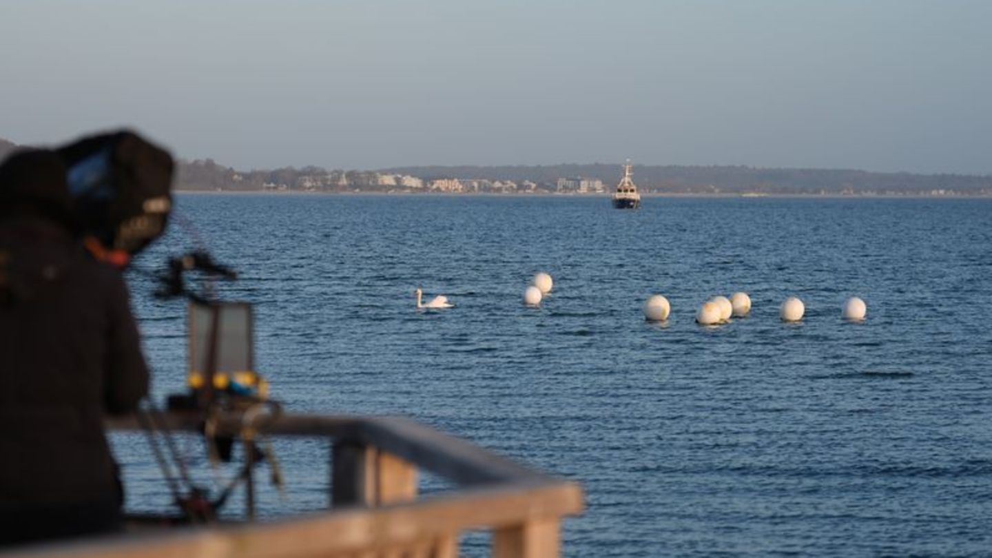 Das Tier ist an der Ostseeküste vor Timmendorfer Strand nicht mehr zu sehen. Foto: Marcus Brandt/dpa