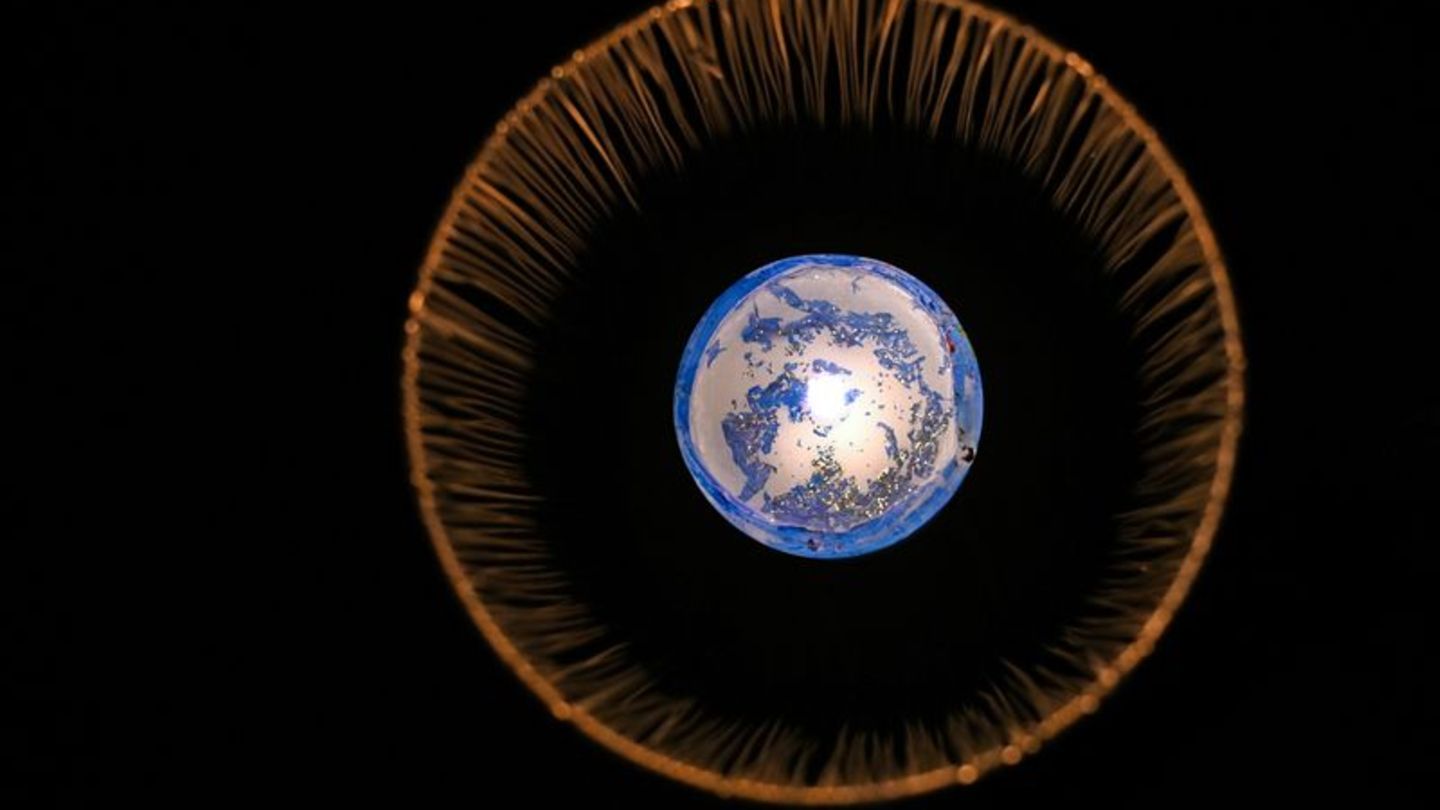 Kerzenlicht für den Planeten: Weltweit wird es bei der "Earth Hour" nach und nach dunkel. Foto: Elisa Schu/dpa