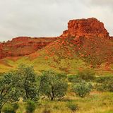 Felsen der Kimberley-Landschaft, im Vordergrund Pflanzen