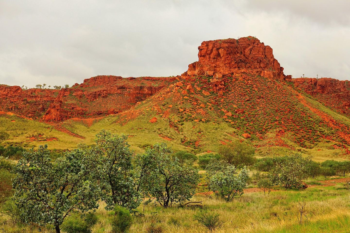 Felsen der Kimberley-Landschaft, im Vordergrund Pflanzen