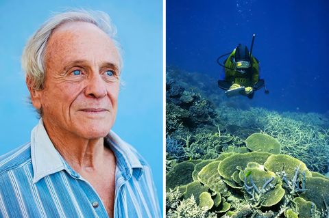 John "Charlie" Veron