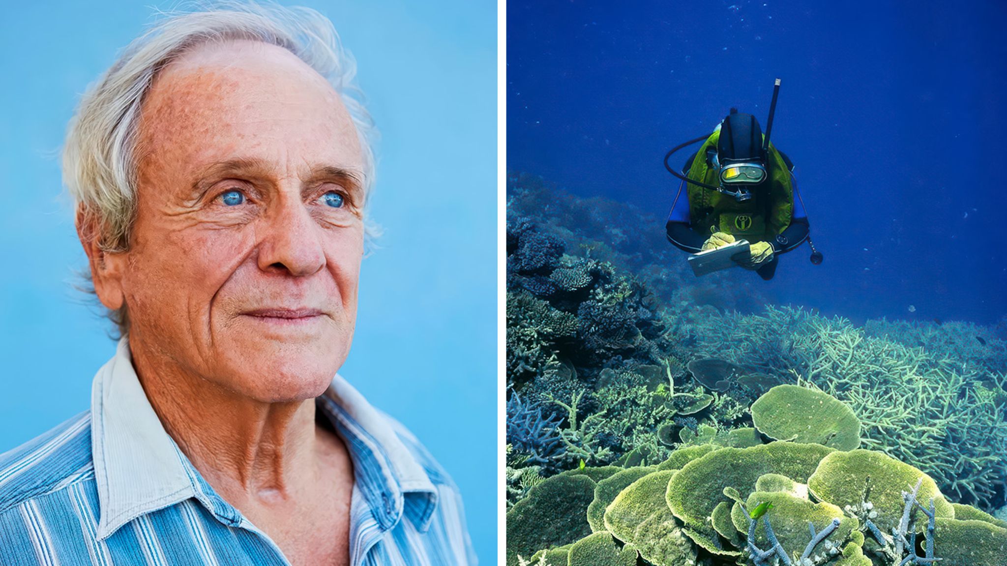 John "Charlie" Veron