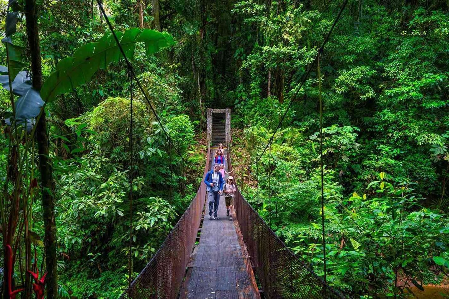 Zwischen moosbedeckten Felsen, rauschenden Flüssen und einem Dach aus üppigen Baumkronen eröffnet sich die ganze Kraft des Regenwaldes. Wer Costa Rica erkundet, taucht tief in eines der artenreichsten und faszinierendsten Ökosysteme der Erde ein. Gut ausgebaute Wege in den zahlreichen Nationalparks ermöglichen intensive Naturerlebnisse und fördern zugleich einen nachhaltigen Umgang mit dieser einzigartigen Landschaft, die einen immer wieder staunen lässt. Weitere Informationen finden sich hier oder hier. 