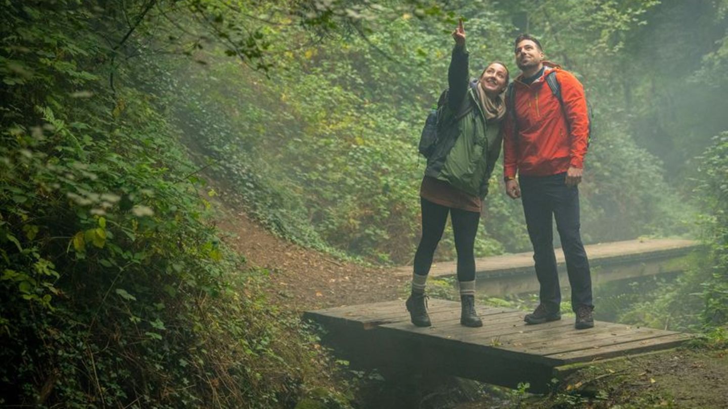 Mehr Zeit für Entdeckungen am Wegesrand: Drei der neuen Routen sind als leichte Spazierwanderwege ausgewiesen. Foto: Dominik Ket