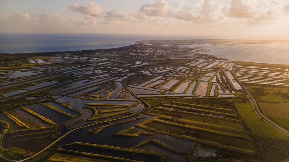 Salinen auf der Ile de Ré