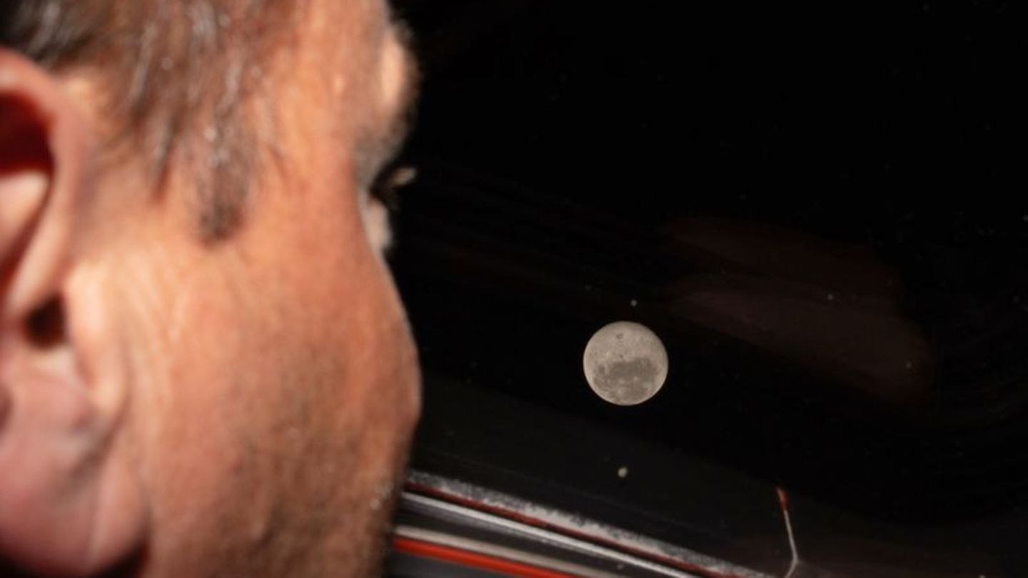 Auf dem Mond gibt es jetzt einen Krater, der nach der gestorbenen Ehefrau von Astronaut Wiseman benannt ist. Foto: Uncredited/NA