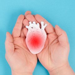 Hände halten ein gemaltes Herz