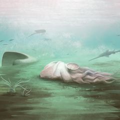 Künstlerische Rekonstruktion des Fossils Pohlsepia mazonensis
