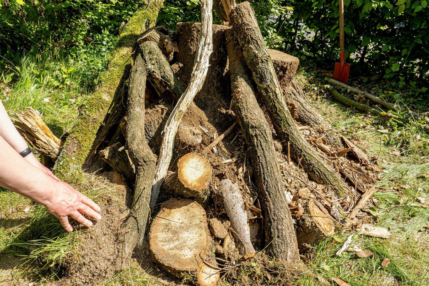 Käferkeller anlegen